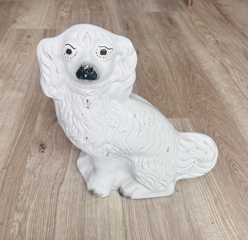 Staffordshire spaniel - staffordshire,