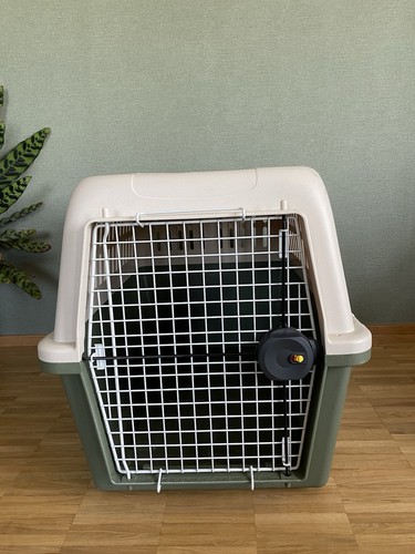 Tiertransportbox groß auch - groß, (auch