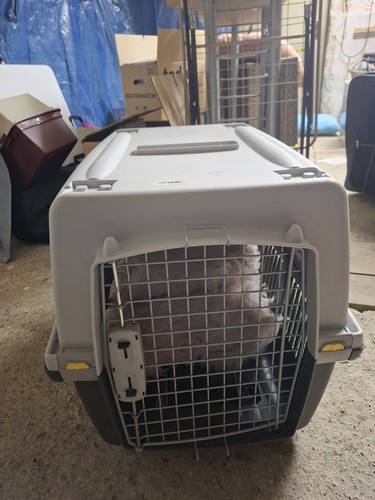 Große hundebox transportbox - hundebox,