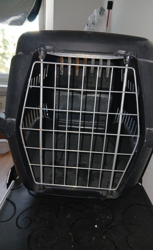 Kerbl transportbox für - kerbl,