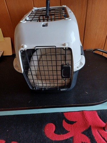 Katzentransportbox xxl für - katzentransportbox,