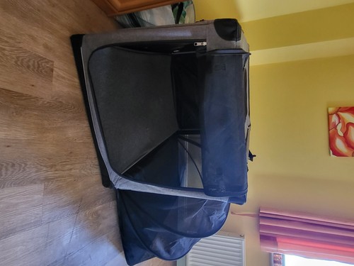 Reisebox hund groß - hund,
