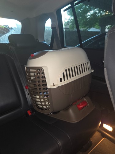 Hunde-Katzen-AUTO-Transportbox