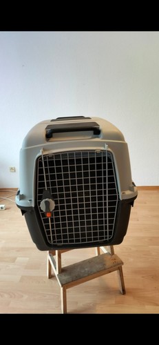Hundebox groß - hundebox,
