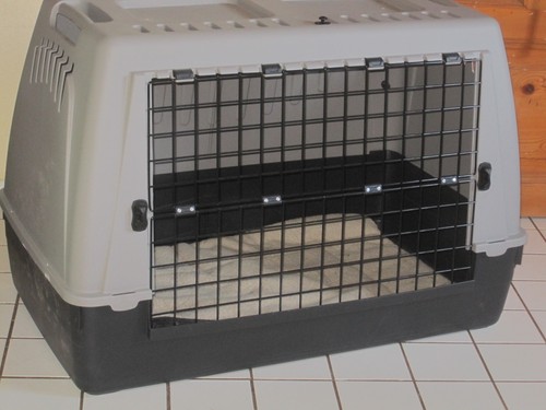 Hundebox für große - hunde, b