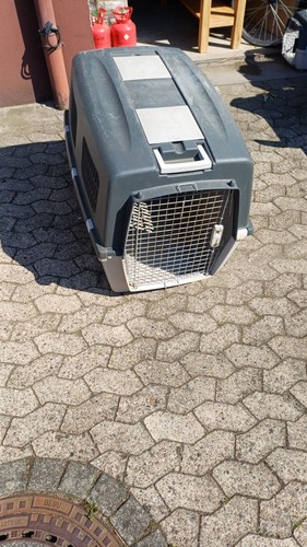 Große hunde tranzbortbox - hunde,