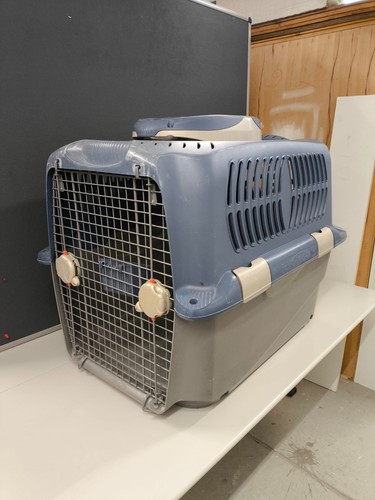 Große hundetransportbox firma - große,