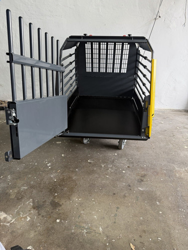 Auto-Transportbox