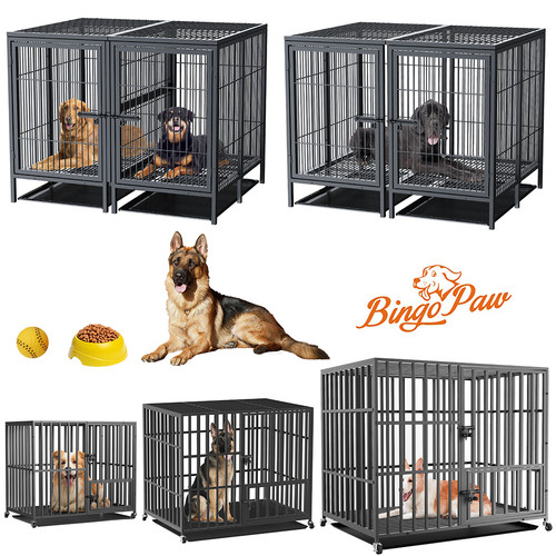 Hundebox xxl große hunde - große,